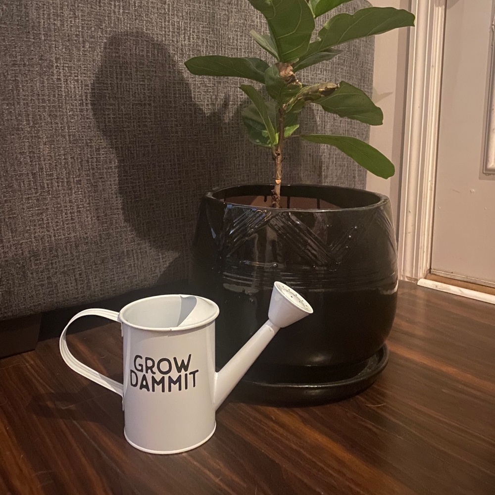 GROW DAMMIT Metal Watering Can Home Garden Plants